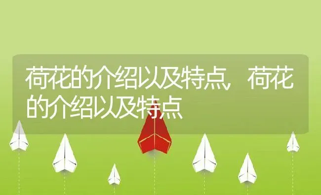 荷花的介绍以及特点,荷花的介绍以及特点 | 养殖常见问题