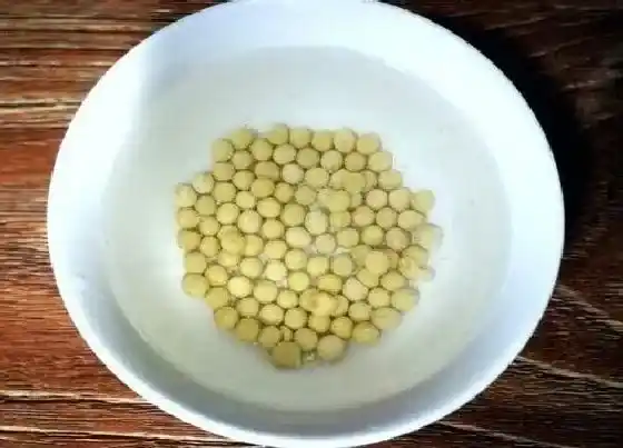 植物常识问题|如何用黄豆制作肥水肥力暴增