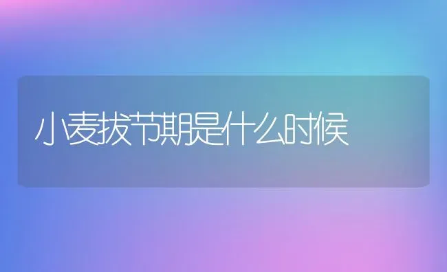 小麦拔节期是什么时候 | 养殖常见问题