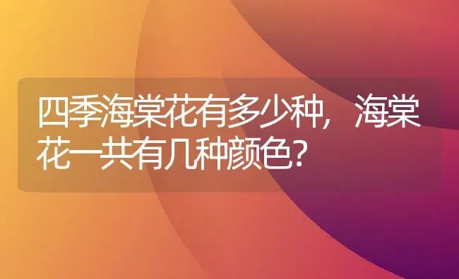 四季海棠花有多少种,海棠花一共有几种颜色？ | 养殖常见问题