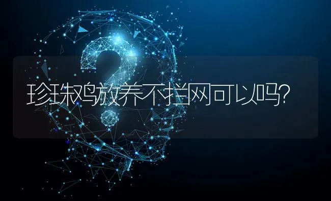 珍珠鸡放养不拦网可以吗? | 养殖问题解答