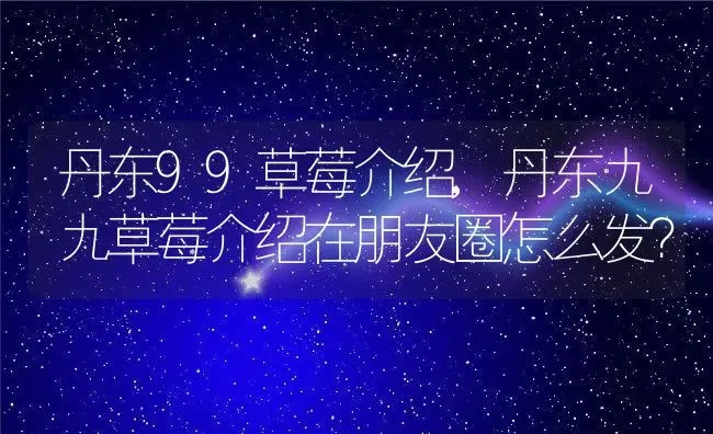 丹东99草莓介绍,丹东九九草莓介绍在朋友圈怎么发？ | 养殖常见问题