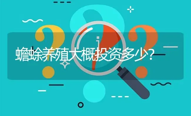 蟾蜍养殖大概投资多少? | 养殖问题解答