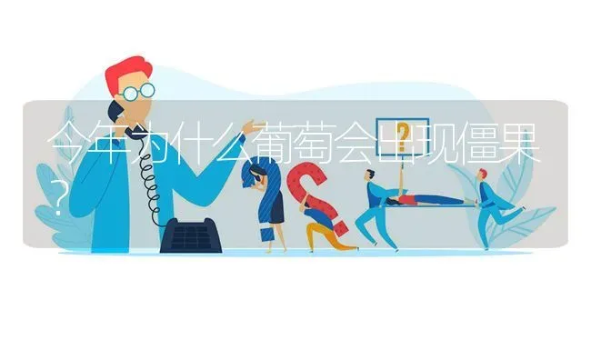 今年为什么葡萄会出现僵果? | 养殖问题解答