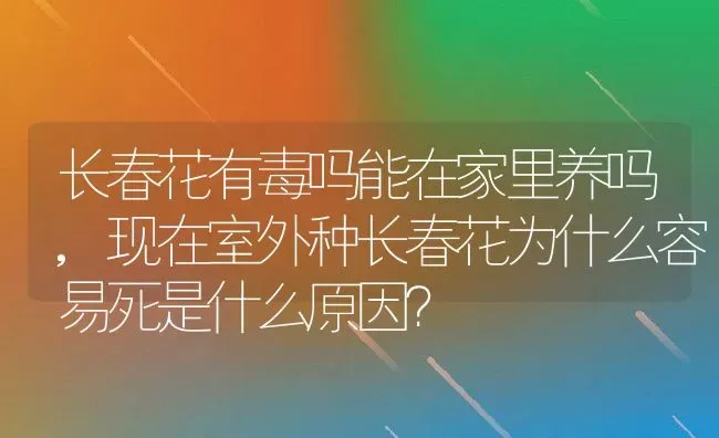 长春花有毒吗能在家里养吗,现在室外种长春花为什么容易死是什么原因？ | 养殖常见问题