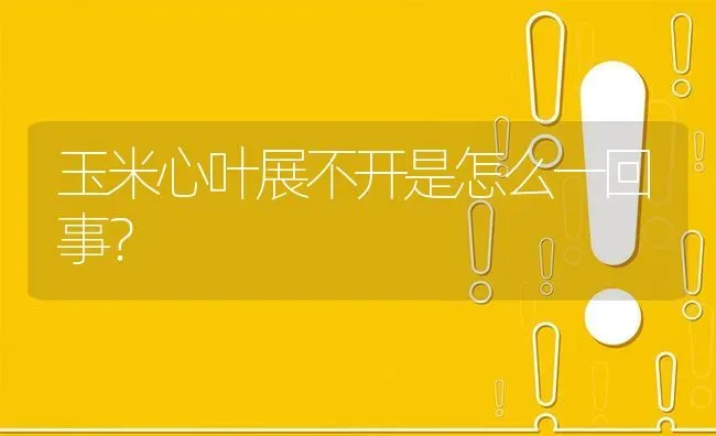 玉米心叶展不开是怎么一回事? | 养殖问题解答