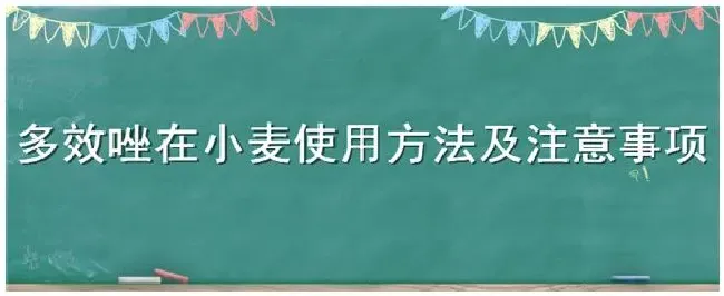 多效唑在小麦使用方法及注意事项 | 科普知识