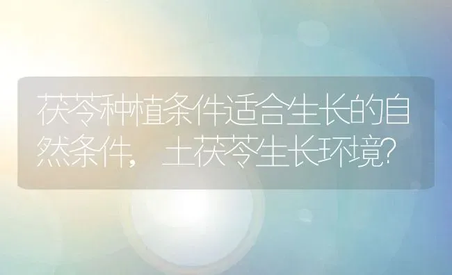 茯苓种植条件适合生长的自然条件,土茯苓生长环境？ | 养殖常见问题