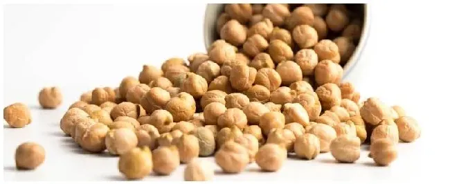 鹰嘴豆种植注意事项 | 农业问题