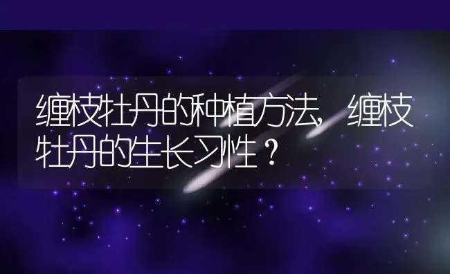 缠枝牡丹的种植方法,缠枝牡丹的生长习性？ | 养殖常见问题