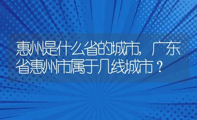 惠州是什么省的城市,广东省惠州市属于几线城市？ | 养殖常见问题