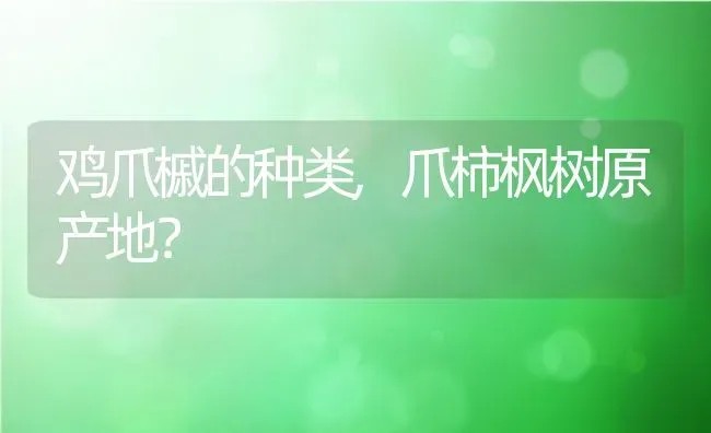 鸡爪槭的种类,爪柿枫树原产地？ | 养殖常见问题