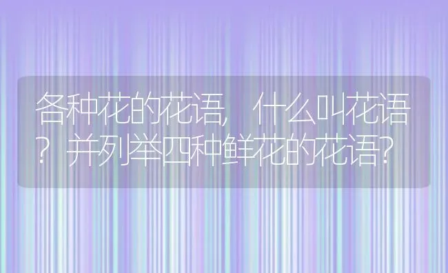 各种花的花语,什么叫花语?并列举四种鲜花的花语？ | 养殖常见问题