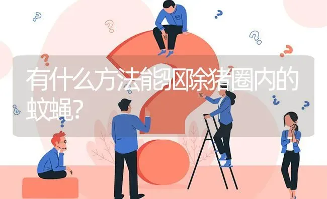 有什么方法能驱除猪圈内的蚊蝇? | 养殖问题解答