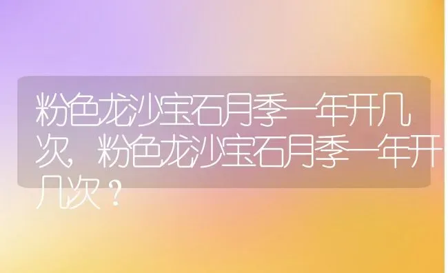 粉色龙沙宝石月季一年开几次,粉色龙沙宝石月季一年开几次？ | 养殖常见问题