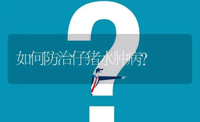 如何防治仔猪水肿病? | 养殖问题解答