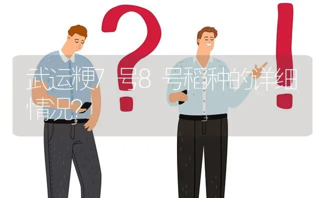 武运粳7号8号稻种的详细情况? | 养殖问题解答