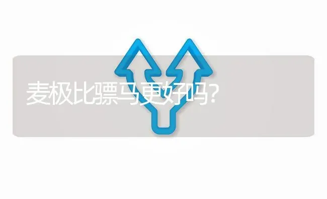 麦极比骠马更好吗? | 养殖问题解答