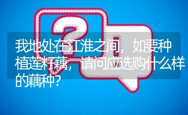 我地处在江淮之间,如要种植莲籽藕,请问应选购什么样的藕种? | 养殖问题解答