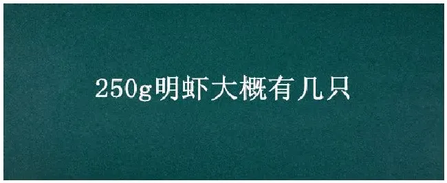 250g明虾大概有几只 | 三农问答