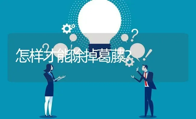 怎样才能除掉葛藤? | 养殖问题解答