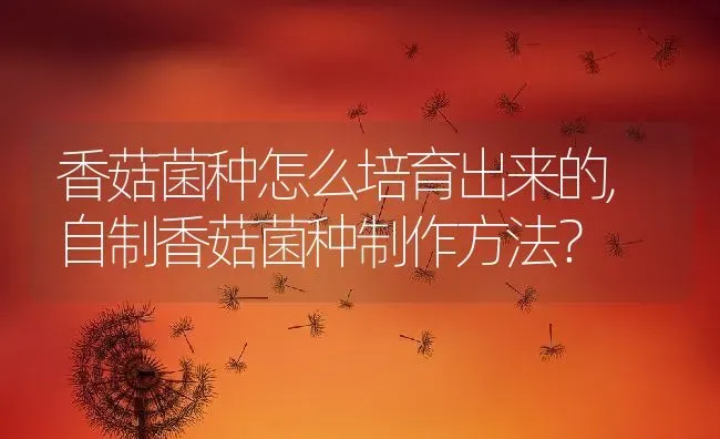 香菇菌种怎么培育出来的,自制香菇菌种制作方法？ | 养殖常见问题