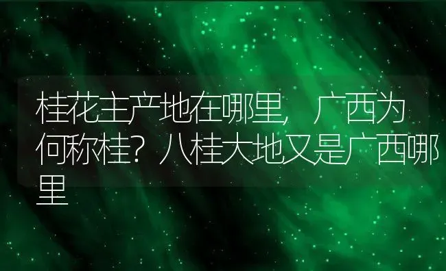 桂花主产地在哪里,广西为何称桂？八桂大地又是广西哪里 | 养殖常见问题