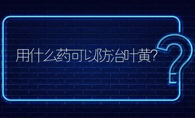 用什么药可以防治叶黄? | 养殖问题解答