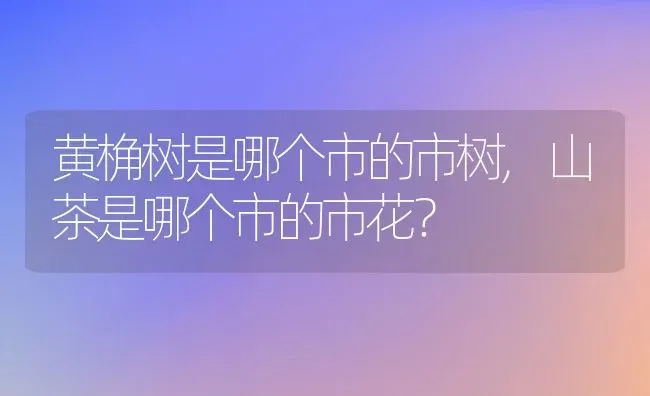 黄桷树是哪个市的市树,山茶是哪个市的市花？ | 养殖常见问题