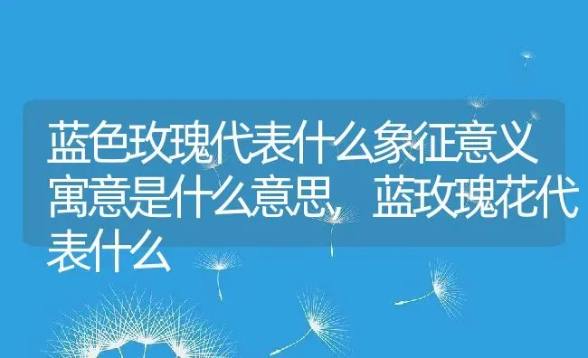 蓝色玫瑰代表什么象征意义寓意是什么意思,蓝玫瑰花代表什么 | 养殖常见问题