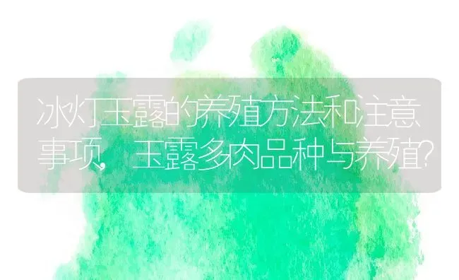 冰灯玉露的养殖方法和注意事项,玉露多肉品种与养殖？ | 养殖常见问题