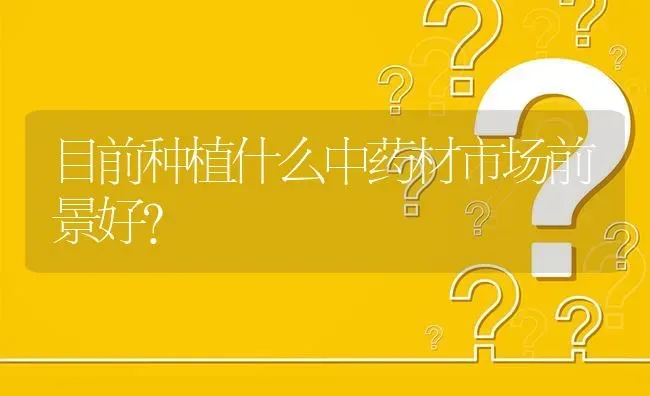 目前种植什么中药材市场前景好? | 养殖问题解答