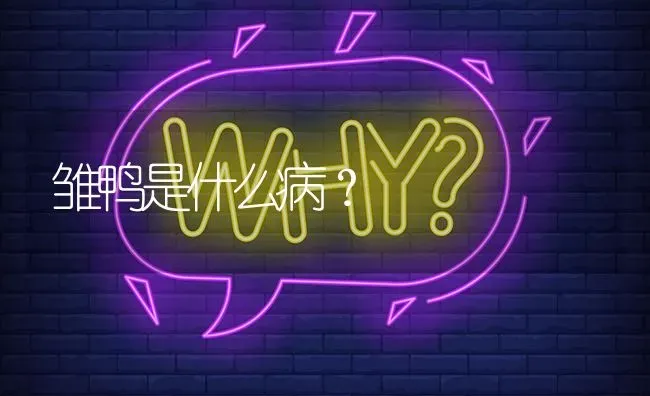 雏鸭是什么病? | 养殖问题解答