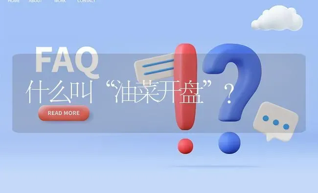 什么叫“油菜开盘”? | 养殖问题解答