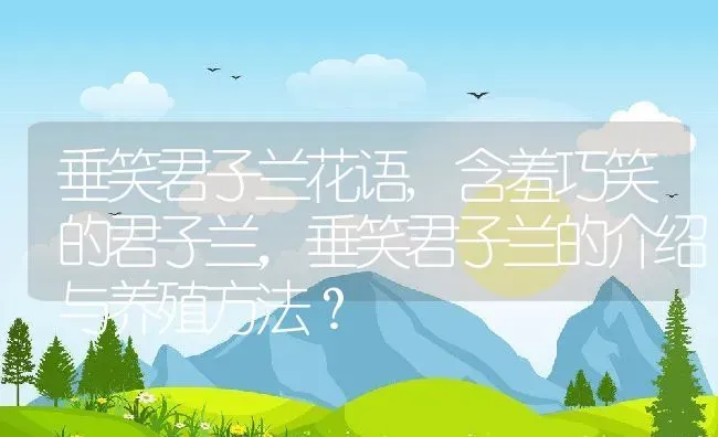 垂笑君子兰花语,含羞巧笑的君子兰，垂笑君子兰的介绍与养殖方法？ | 养殖常见问题