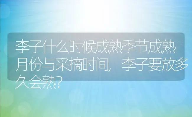 李子什么时候成熟季节成熟月份与采摘时间,李子要放多久会熟？ | 养殖常见问题
