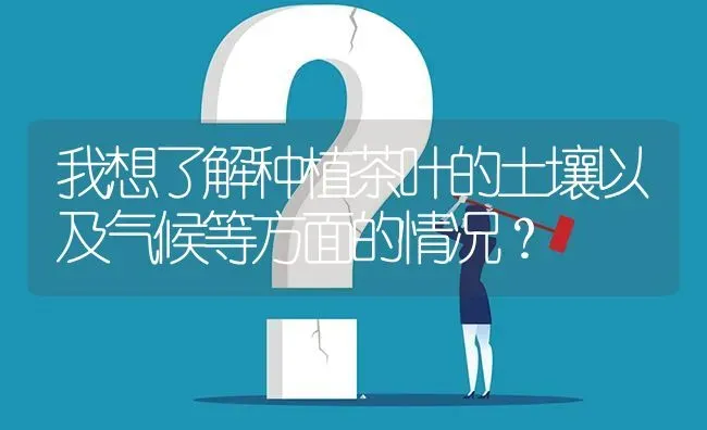 我想了解种植茶叶的土壤以及气候等方面的情况? | 养殖问题解答