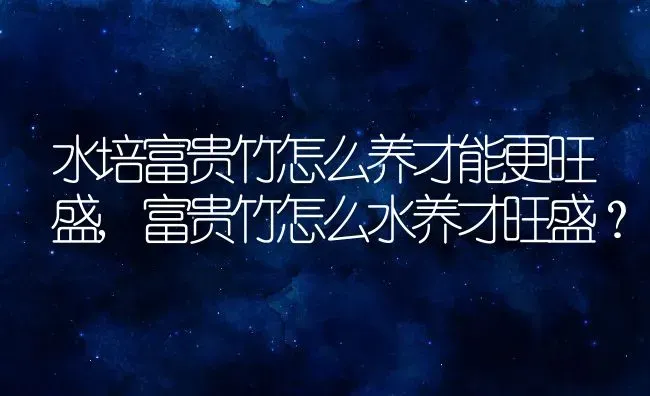 水培富贵竹怎么养才能更旺盛,富贵竹怎么水养才旺盛？ | 养殖常见问题