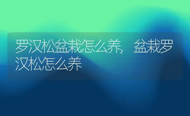 新玉缀和玉缀的区别,新玉缀叶片皱巴巴的？ | 养殖常见问题