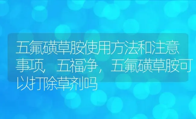 五氟磺草胺使用方法和注意事项,五福净，五氟磺草胺可以打除草剂吗 | 养殖常见问题