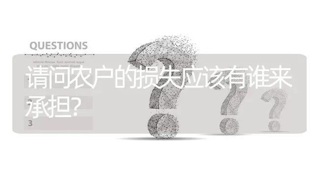 请问农户的损失应该有谁来承担? | 养殖问题解答