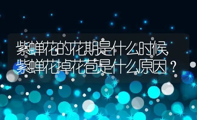 富贵竹养几支,几颗富贵竹插一瓶最好？ | 养殖常见问题