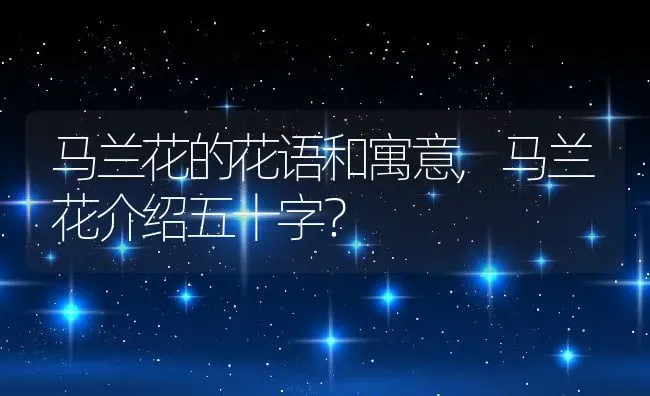 马兰花的花语和寓意,马兰花介绍五十字？ | 养殖常见问题