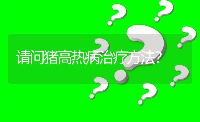 请问猪高热病治疗方法? | 养殖问题解答