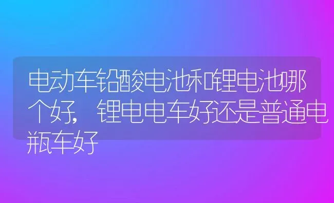 电动车铅酸电池和锂电池哪个好,锂电电车好还是普通电瓶车好 | 养殖常见问题