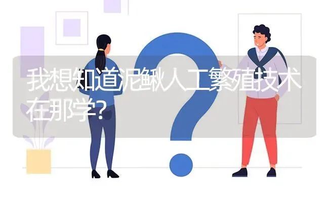 我想知道泥鳅人工繁殖技术在那学? | 养殖问题解答