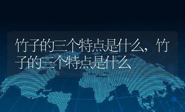 竹子的三个特点是什么,竹子的三个特点是什么 | 养殖常见问题