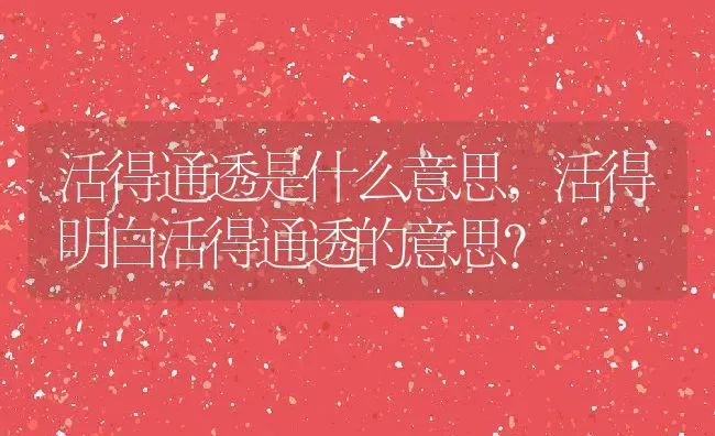 活得通透是什么意思,活得明白活得通透的意思？ | 养殖常见问题