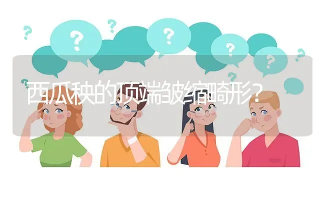 西瓜秧的顶端皱缩畸形? | 养殖问题解答