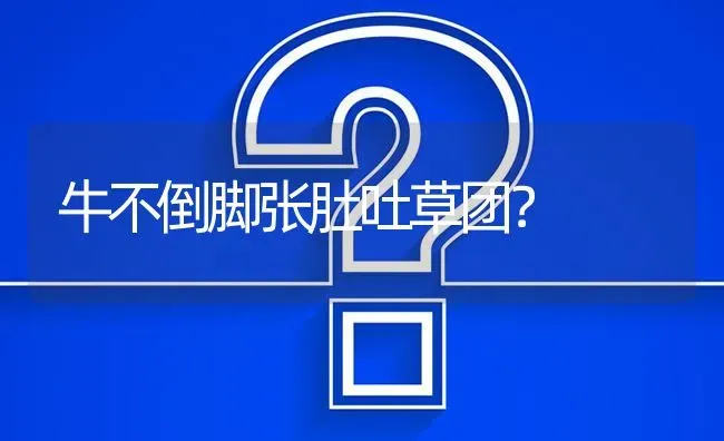 牛不倒脚张肚吐草团? | 养殖问题解答